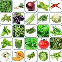 Aero Seeds 25 Variety Of Vegetable Seeds Combo Pack With Instruction Manual.-image-4