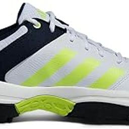 Men Crinu 24 M Cricket Shoe-picture-26