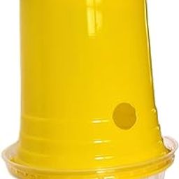 Fruit Fly Insect pheromone Trap, desposable Glass Trap, Lure is not Included, Used for Fruit Fly & Melon Fly (25)-image-41