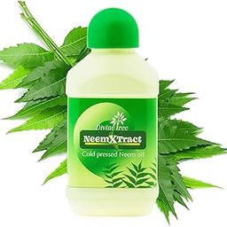 DIVINE TREE Neem-X-Tract 100% Natural Ready to Use Pure Cold-Pressed Neem Oil for Outdoor & Indoor Plants - Organic Insect Repellent & Plant Care Solution - Water Soluble Insect Controler (100ML)-picture-19
