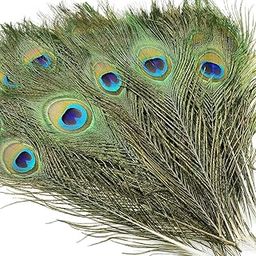 Little Blooms® Original Peacock Feathers - Mor Pankh Original for Decoration - Perfect Peacock Feather Decoration Items for Home, Temple, and Events - Beautiful Feather for Craft & Pooja (20)-image-24