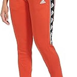 Men Mid Rise Regular Pants-image-19
