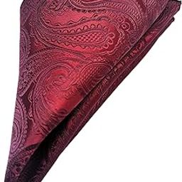 France Men's Paisley Self-Design Bow Ascot Cravat Necktie and Pocket Square Pure Satin Microfiber Free Size-image-1