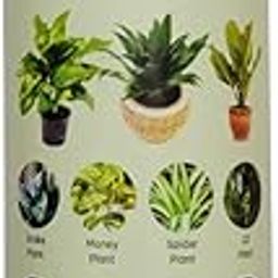 Kahara 500 ML - Organic Plant Booster for Speed Growth | Seaweed Liquid Concentrate for Plants | Liquid Plant Growth Boost | Promotes Healthy Roots & Speed Growth of All Home Garden Plants (500 ML)-image-72