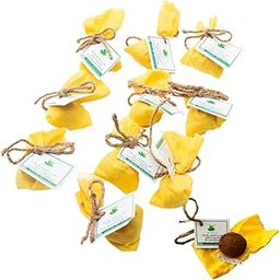 Sow and Grow Plantable seed balls of Sunflower (Pack of 10)-image-11