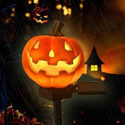 QH & Garden Halloween Outdoor Decoration Solar Lights, Waterproof Ghost Lights, Skull Solar Garden Lights with Black Crow on Skull, Skeleton Stakes with LED Lights, Stunning Halloween Decorations-image-14