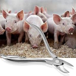 Bethlehem Piglet Teeth Cutter, Pig Teeth Cutter Simple Operation Easy to Clean and Durable Premium Stainless Steel Material for Home for Daily for Piglets for Farm-image-10