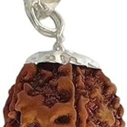 6 Face Original Nepali Rudraksha Bead Oval Six Mukhi Rudraksha Lab Certified 6 मुखी रुद्राक्ष Real Chhheh Mukhi Rudraksha Locket For Dhyan-16