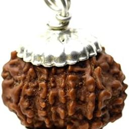 SreeGems 10 Mukhi Rudraksha Original Certified 10 Face Rudraksha Blessed By Lord Vishnu Das Mukhi Rudraksha With Capping 10 Mukhi Rudraksha Pendant 10 मुखी रुद्राक्ष 10 Mukhi Rudraksha Nepali-picture-22
