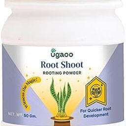 Ugaoo Rooting Hormone Powder for Plants Cuttings - Root Shoot 50g-image-4