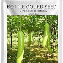 Bhajanlal Greenery Organic Desi Bottle Gourd Seeds (35 Seeds)-image-26