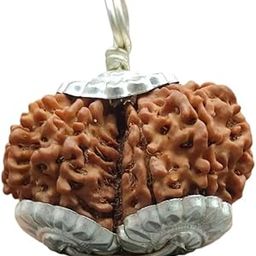 Gauri Shankar Rudraksha Nepali Gaurishankar Rudraksha Original Certified गौरी शंकर रुद्राक्ष Gauri Shankar Rudraksha Pendant Naturally Joined Combined Rudraksha Nepal Gori Shankar Rudraksha-11