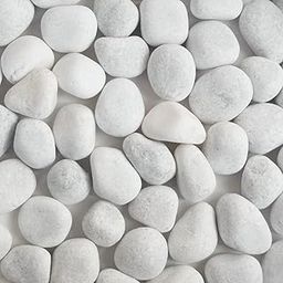 GARDENBASICS Unpolished White Pebbles/Pebble/Natural Decorative River Water Rocks/Stones For Garden, Gardening, Landscaping, Home Decoration, Vase Fillers, Rock Art, and Potted Plants (10 kgs)-4