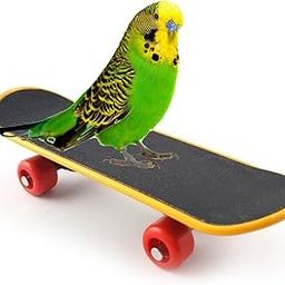 Playful Intelligence Toy Mini Training Skateboard for Parrot, Cockatiel, Lovebird, Budgerigar, Sun Conure, Finch, African Grey, Canary, Cockatoo, Macaw, Budgeri Birds-image-91