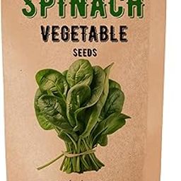 20 Gram Spinach/Palak Seeds For Planting & Gardening | Free E Book for Vegetable seeds Kitchen Garden, Backyard Gardening, Home Gardening & Planting included | (20 Gram Spinach/Palak Seeds)-image-65