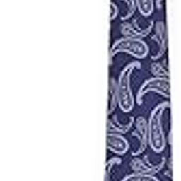 Men Blue Embroidered Casual Tie-image-10