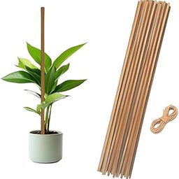 3 feet Premium Natural Teak Wood Plant Support Sticks - Garden Sticks for Straightening Training and Supporting Plants - Strong and Durable Solution for Healthy Growth (12 pcs)-picture-28
