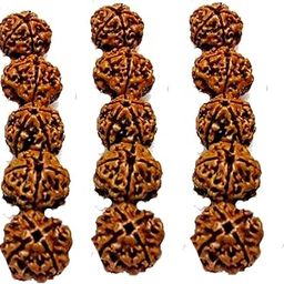 GGE FASHION HUB 2 3 4 5 6 Mukhi Rudraksha 16-18mm Bead, Traditional Prayer Beads Rudraksh Original Rudraksh Beads Set of 25Pc (Four Mukhi Rudraksha Beads)-picture-7