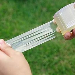 SVE 900M x 1.5 Inch Grafting Stretchable Tape for Nursery and Garden, Budding/Plant Repair Tape for Nursery & Garden, Moisture Barrier Waterproof, Length- 900meter, Width- 24mm (Pack of 1)-image-48