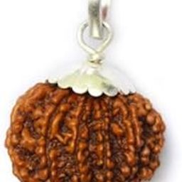 BluDiamond 12 मुखी नेपाली रुद्राक्ष Barah Mukhi Rudraksha Original Certified 12 Mukhi Rudraksha Pendent Oval Twelve Mukhi बारह मुखी रुद्राक्ष 12 Face Rudraksha Beads for Bracelet-picture-16