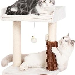 Pawfessor Cat Scratching Post Small Cat Tree with Cat Self Groomer, 15.7x13.7” Wide Top Bed, Natural Scratch Post and Danging Ball Great for Kittens and Average Indoor Cats-Medium Beige-32