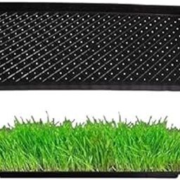 Liber Grow Wheatgrass Tray Black | Thick & Reusable Plastic Trays for Microgreen Growing, Hydroponics | Seed Germination & Paddy Cultivation | Durable, Indoor & Outdoor Use (Pack of 10pcs)-picture-11
