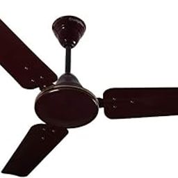 Crompton Cool Breeze 900 mm (36 inch) Long Lasting Rust Free Ceiling Fan (Brown)-image-10