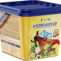 Gramophone VigorMaxx GR-image-16