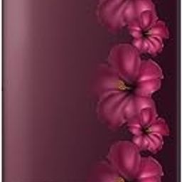 SHARP 187 L Direct Cool Single Door 2 Star Refrigerator |Japan 7 Shield Protection|60 Mins Fast Ice |(Hibuscus Red, SJ-DF207N2-PRR)-picture-18