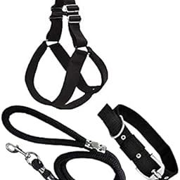 PSK PET MART Dog Combo Pack of Harness, Neck Collar Belt and Rope Set (Black, Medium)-picture-30