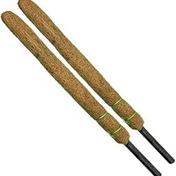 GCI Agro - (4ft) Coco Pole - Coir Moss Stick for Indoor - Outdoor || House Plant Creepers Support (Set of 2)-image-11