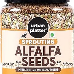 Urban Platter Alfalfa Seeds, 250 g-picture-19