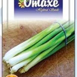 Bunching Onion Spring Cut Exotic Seeds - Pack of 2 Kitchen garden seeds Packet sold by Kitchen Garden Hub-image-32