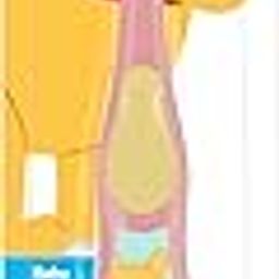 Oral B Baby Toothbrush Featuring Disney's Pooh, Baby Soft Bristles, 0-3 Years-image-61