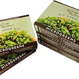 Earthy Element microgreens Grow Kits Microgreens DIY kit-picture-21