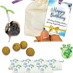 Seed Balls Return Gift for Birthday, Pack of (32) Bags (Amla - 8, Bamboo - 8, Banyan - 8, Cadamba - 8) 2 Seed Balls Per Bag, Just Throw and Grow, Eco-Friendly Gifts, Seed Bombs-image-18