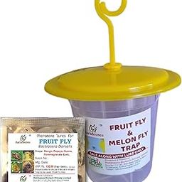 AARAMONES|Fruit Fly Trap & Lure Pack of 5 Traps for Garden & Agriculture to Control Bactocera Dorsalis|Fruitfly Trap for Mango, Guava, Papaya & All Fruit Crop Pheromone for Guaranteed Results-image-37