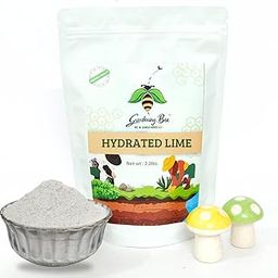 Gardening Bee Hydrated Lime Powder for Gardens, Bujha Chuna, Control PH, Calcium Supplement for Plant, Soil Additive, Reduce Acidity, 100% Organic (2 Kilogram)-image-25