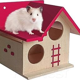 PetNest Wood House for Small Animals Hide House/Hammock for Hamster/Dwarf/Mice/Gerbil/Chinchilla/Hedgehog Cage Toy Chew Toy Hamster Hideout Toys Tomato Pink - DECO6-image-41
