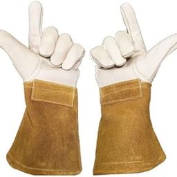 Lobo Products Professional Thorn Proof Lemon Picking Gloves - Thorn Resistant Leather Gloves With Gauntlet Cuff Inc. (10)-image-7