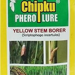 chipku-pheromone Lure for Yellow stem Borer Insect (YSb) (Scriptophaga incertulas) (10)-15