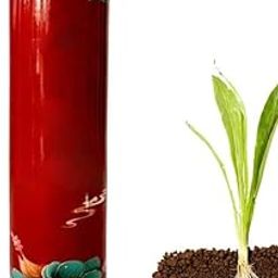 22pcs Gardening Universal Slow-Release Tablet Organic Fertilizer Flowers Nitrogen Phosphorus Potassium Slow Release Agent-image-12