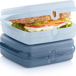 Tupperware Sandwich Keeper 2-Container Set, Dishwasher Safe and BPA Free (2 Hinged Containers)-32