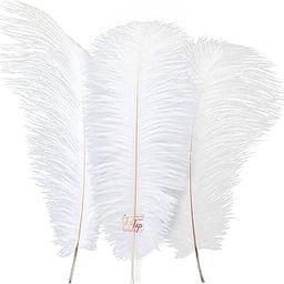 TIPTOP DECORATION Exclusive Dyed White Ostrich Feathers Quills (5-7 Inches) (Pack of 10)-image-29