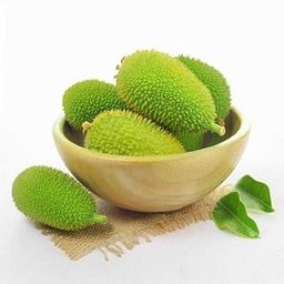 Spine Gourd Seeds for Home Garden – Organic Kantola Seeds | High Germination Rate, Pack Of 13-image-32