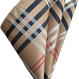 France Men's Pocket Square checked paisley design Gold Beige color free size Microfiber fabric-picture-13