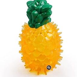 The Pets Company Puppy Chew Toy, Squeaky Dog Toy, Pineapple-image-78