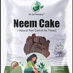 SRI SAI FORESTRY Neem Cake Powder for Plants 1kg – Organic Soil Enhancer, Natural Pest Control, Rich in Nitrogen, Phosphorus & Potassium for Healthier Growth – Neem Cake Fertilizer-image-29