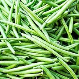Beans Seeds for Home and Terrace Gardening - 50 Seeds-image-95