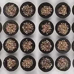 Loban Cups Dhoop for Pooja | Havan Cups for Pooja | Natural Guggal/Sambrani Cup Dhoop Original | Charcoal Free (24 Piece)-image-12